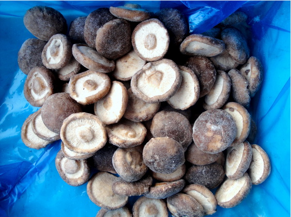 �ٶ�����