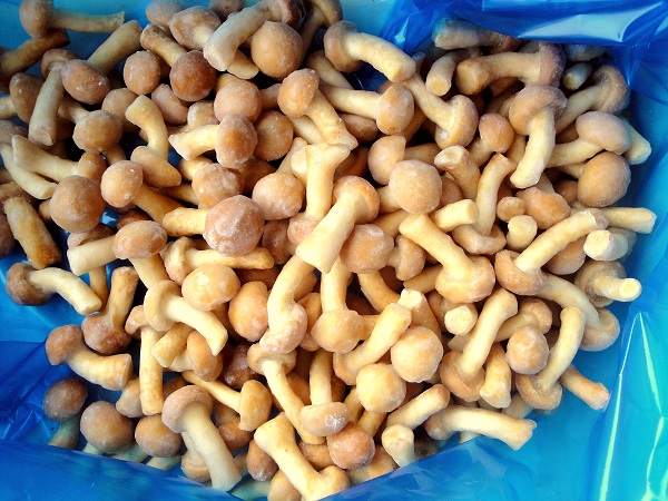 �ٶ�����Ģ